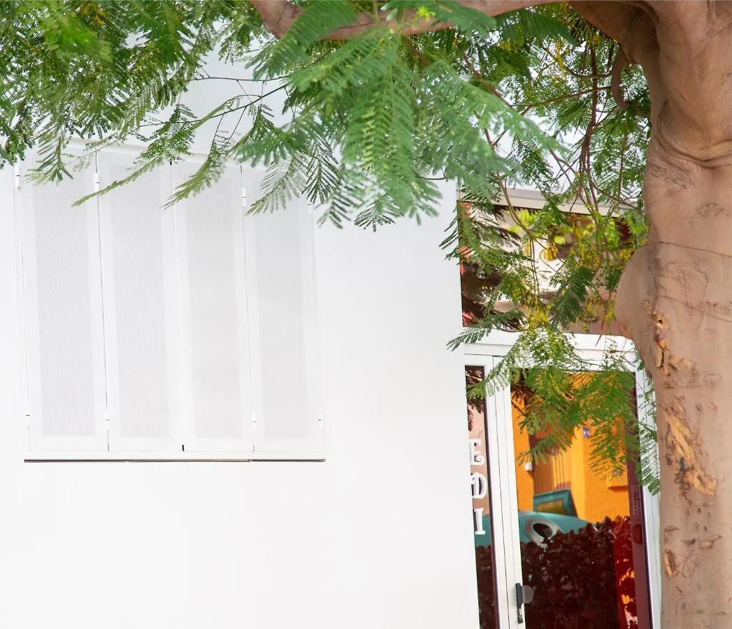 Appartement Edi Astoria à Santa-Cruz de Ténérife Espagne